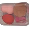 Makeup Sponge & Brush Set With Box Container